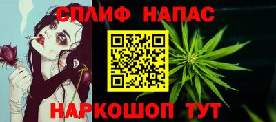дживик Вышний Волочёк