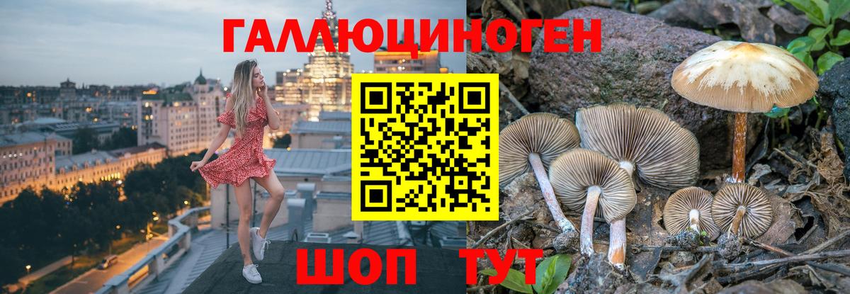 Борисоглебск  Псилоцибиновые грибы Psilocybine cubensis  что такое   Вход с VPN 